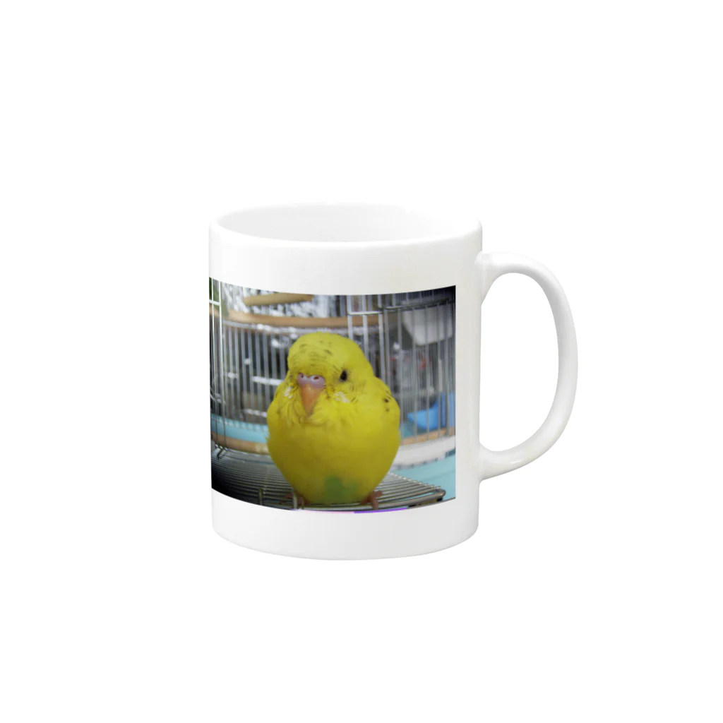 ファラの満腹インコ Mug :right side of the handle