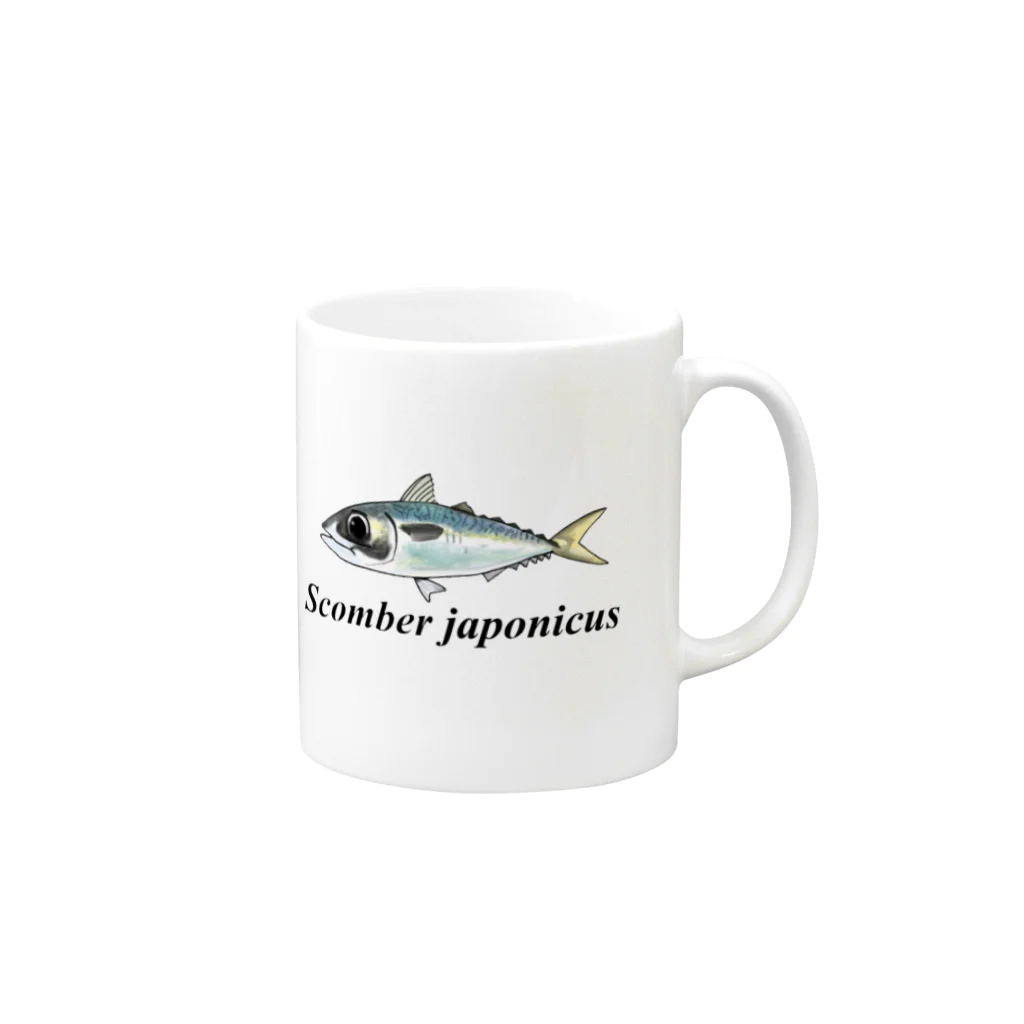 ウミノセイブツタチのマサバ学名 Mug :right side of the handle