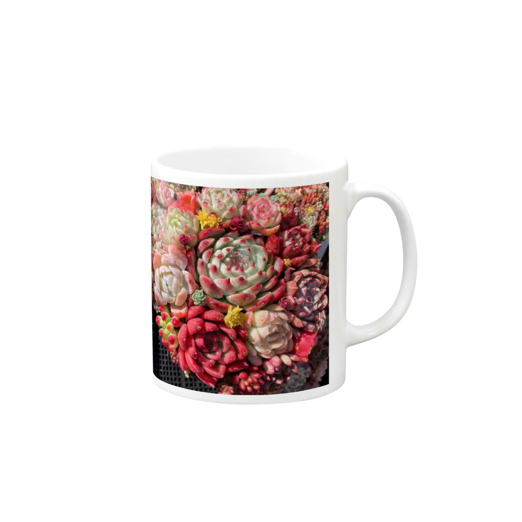 Echeveria_Masterの華やかなエケベリア Mug :right side of the handle