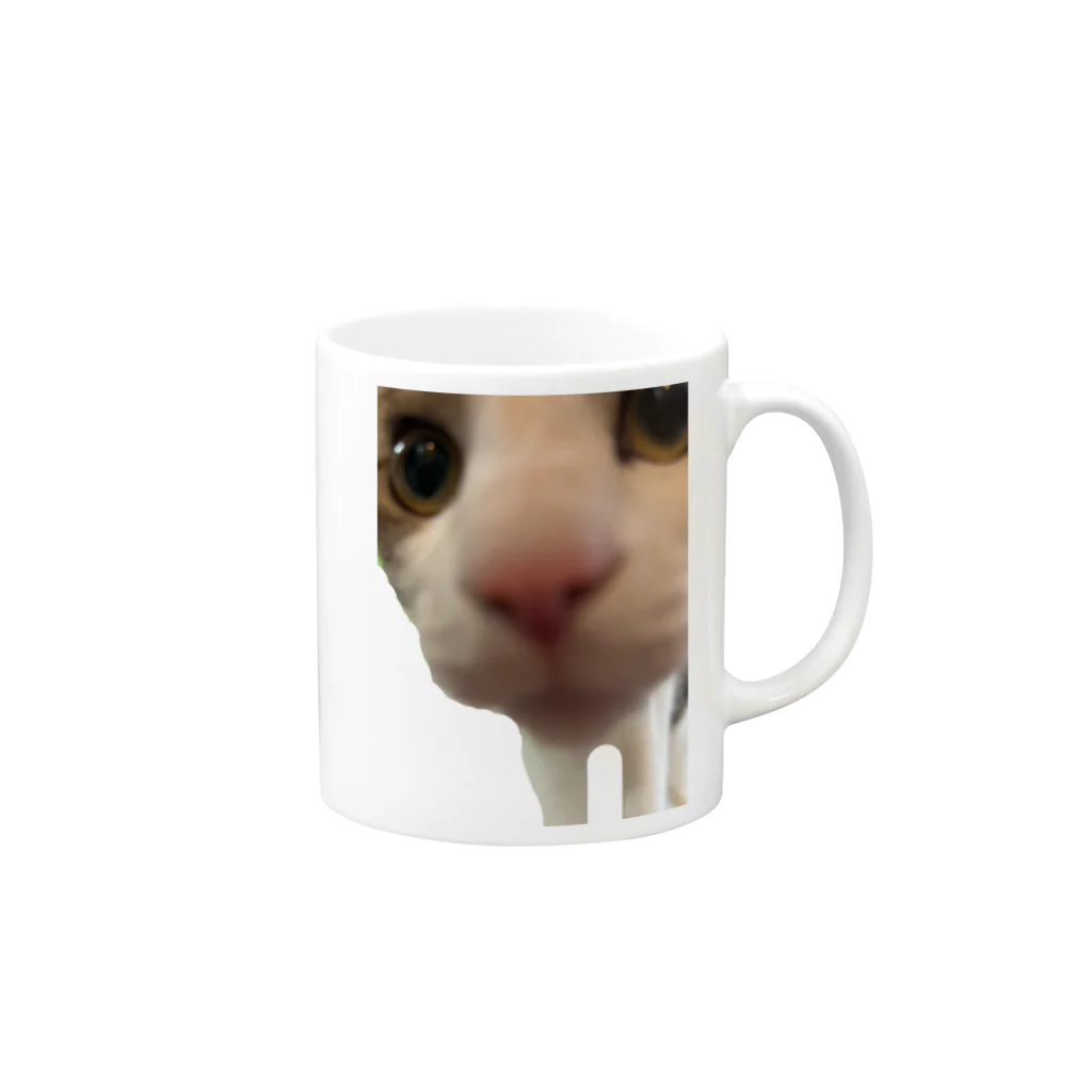 いやし猫　ふぁにーきゃっとのいやし猫　無限ちゃん Mug :right side of the handle