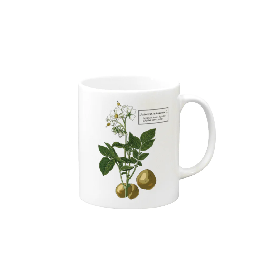 たくみのグッズショップのジャガイモ（Solanum tuberosum） Mug :right side of the handle