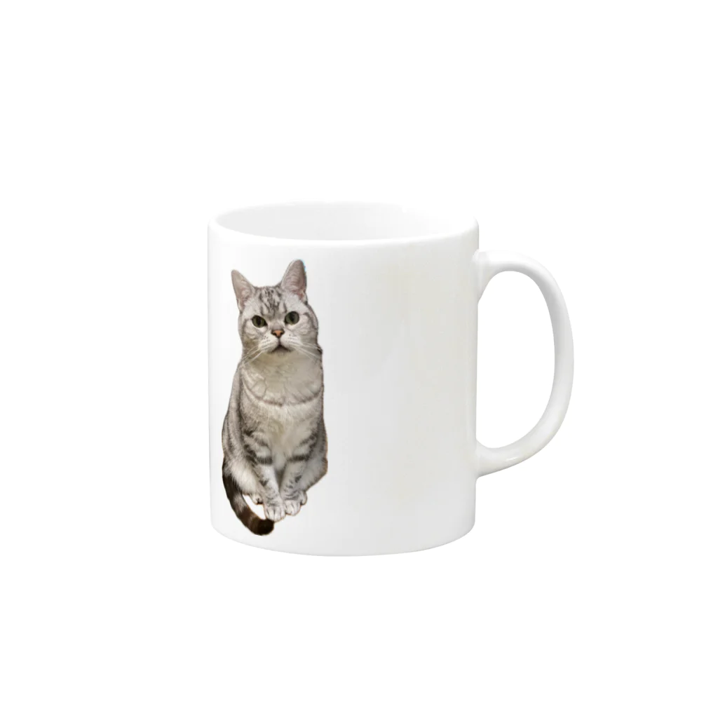 うちの猫ちゃんたちの数少ない美男子とらと Mug :right side of the handle