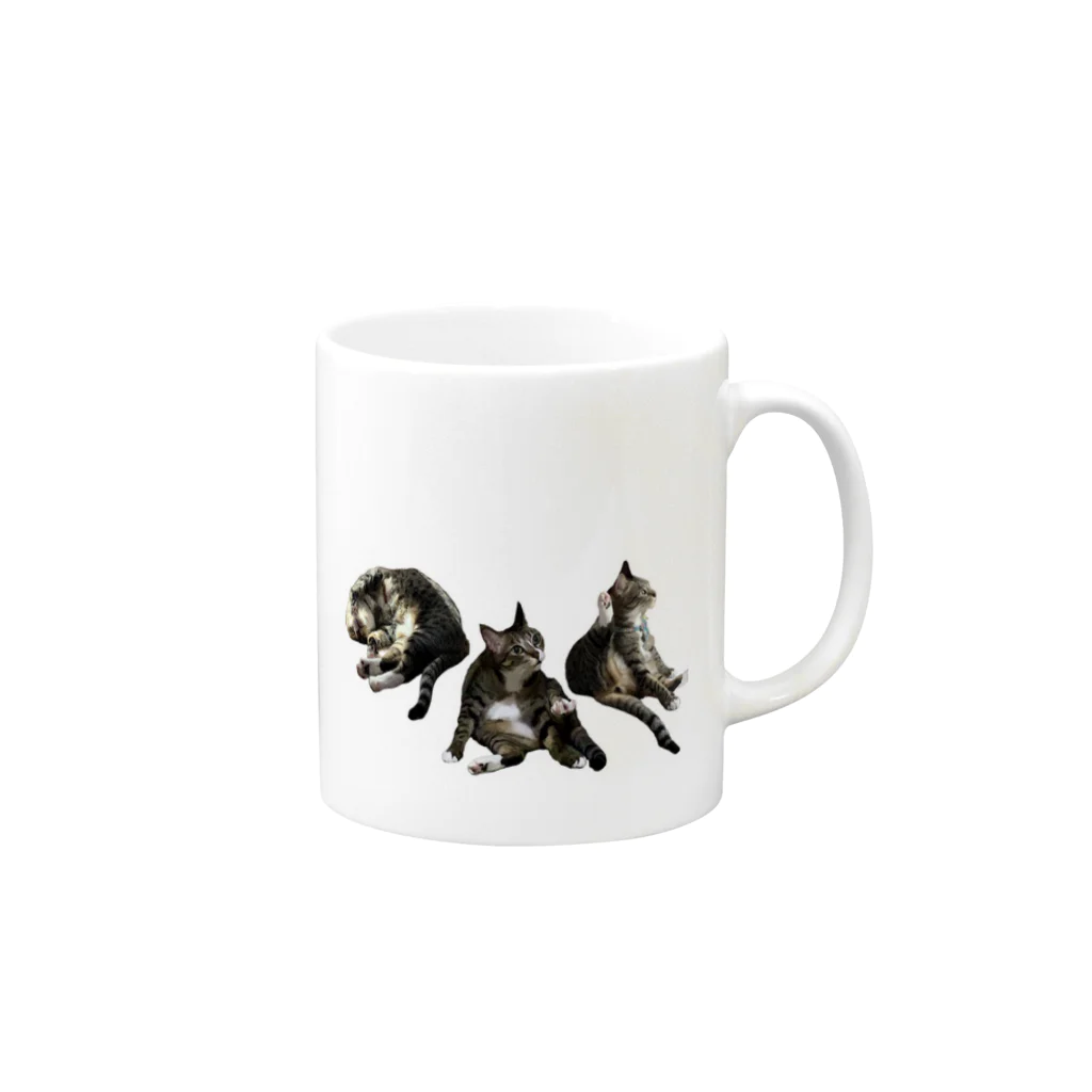 sisyの家ねこ悩殺3ポーズ Mug :right side of the handle