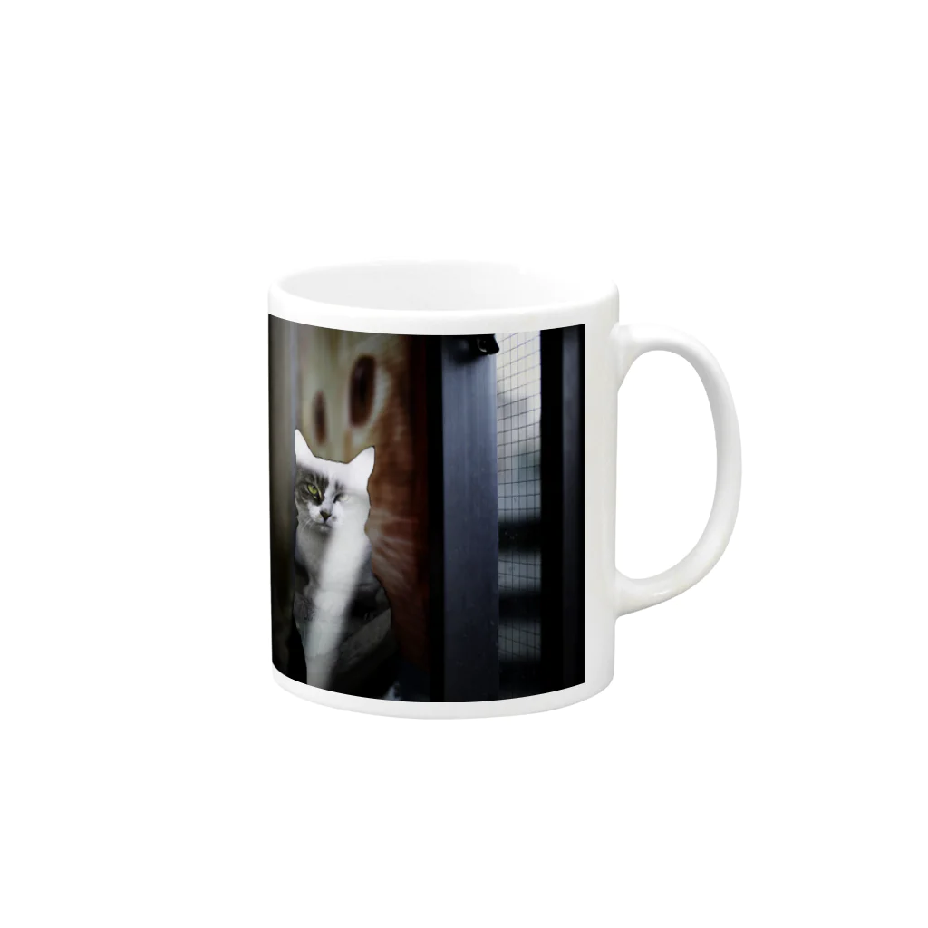 ねこ写真のみせの正面からみたねこ Mug :right side of the handle