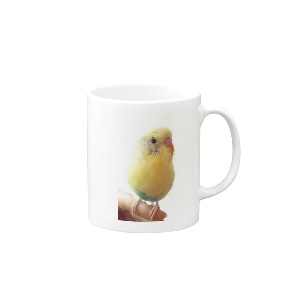 セキセイインコ 夏樹くん  のフォトブック完成記念♪ セキセイインコ 夏樹くん Mug :right side of the handle