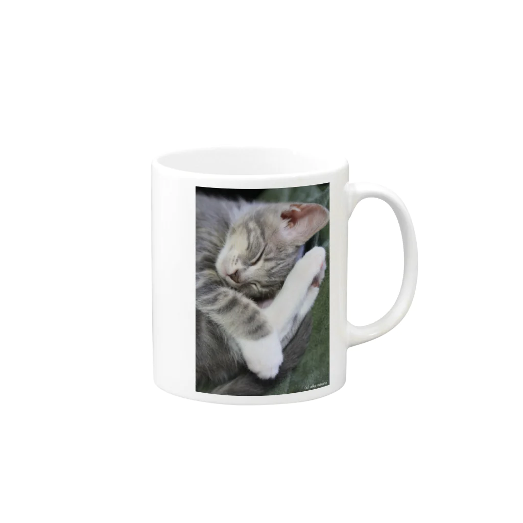 Aiko Nakanoのcat_20190227_8341  Mug :right side of the handle