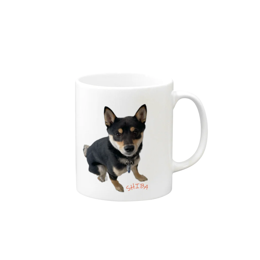 うたた寝の🐾豆柴BOY🐾 世界中で愛される柴犬　1歳 Mug :right side of the handle