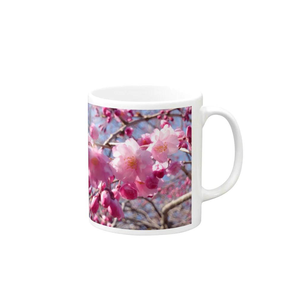 (ゆえ°³°)_( :3 」 )_の花) 桜(　　･ω･　　)どーん Mug :right side of the handle