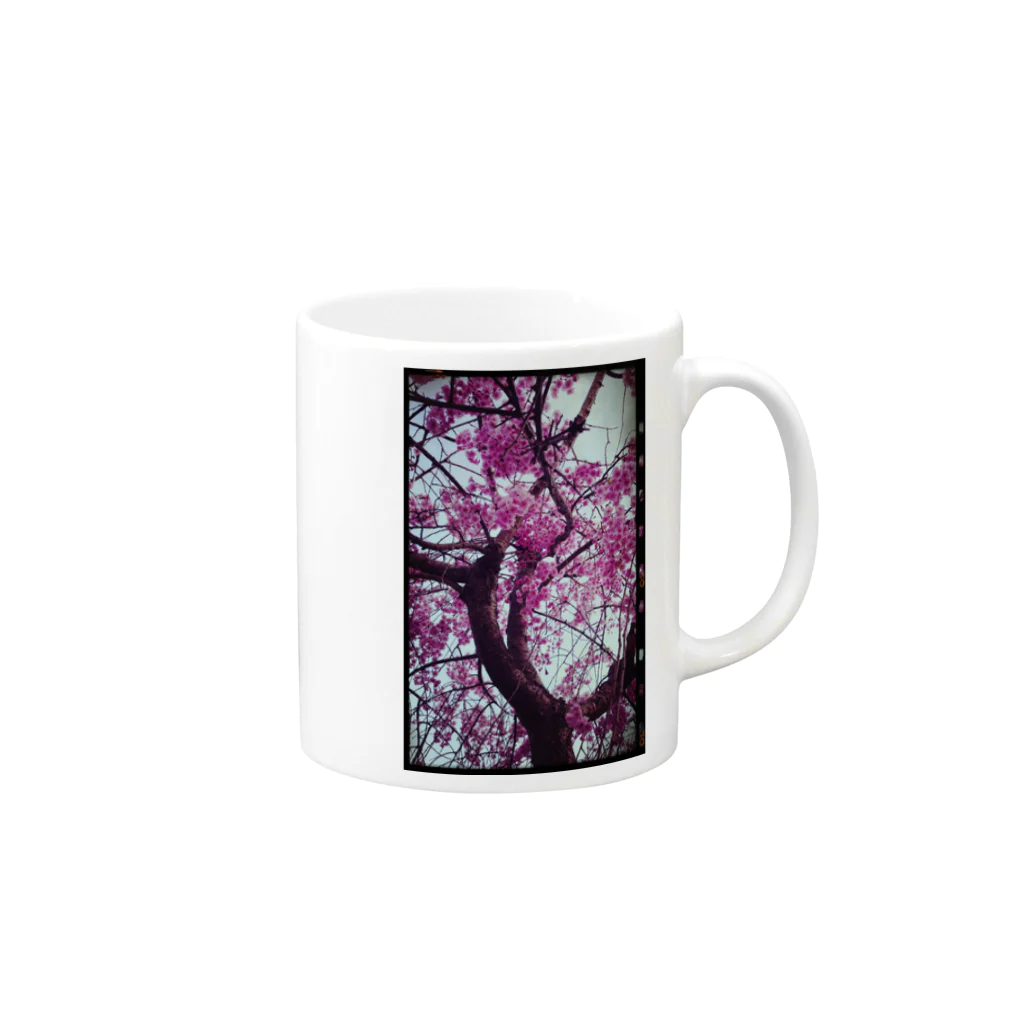 (ゆえ°³°)_( :3 」 )_の花)桜ヴィンテージ Mug :right side of the handle