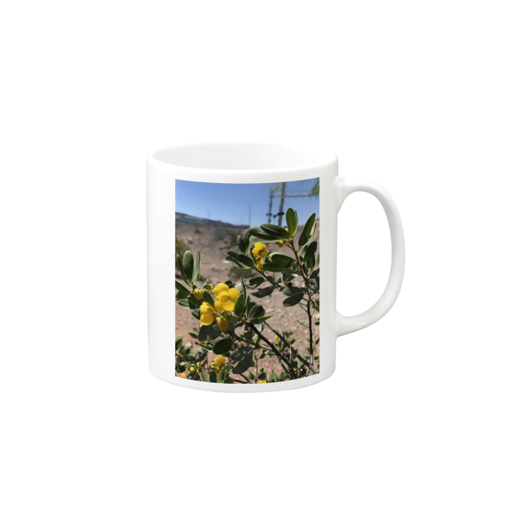 アメリカ！Dream picture factory の砂漠に咲いた花 Mug :right side of the handle