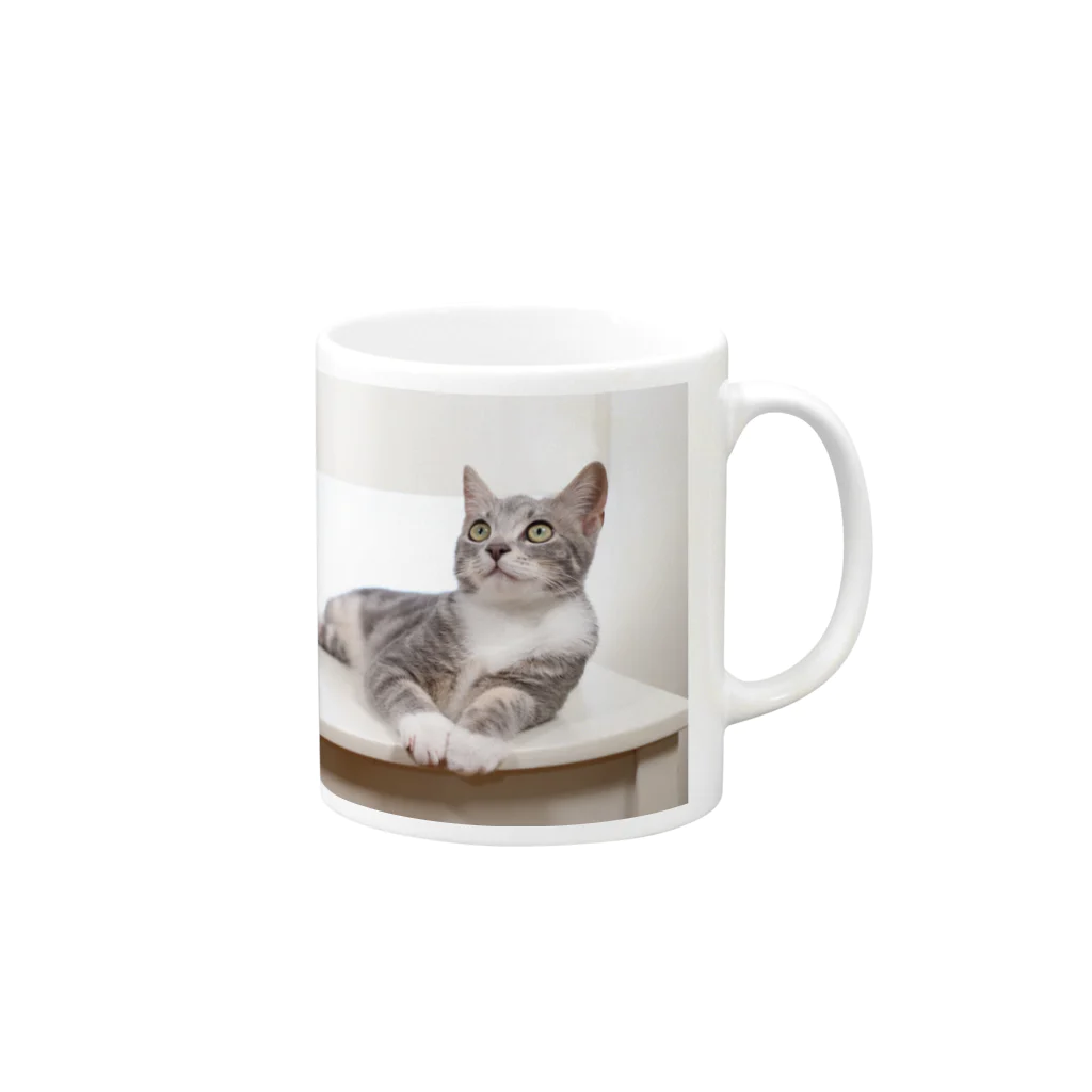 Aiko Nakanoのcat_20190506_8165 Mug :right side of the handle