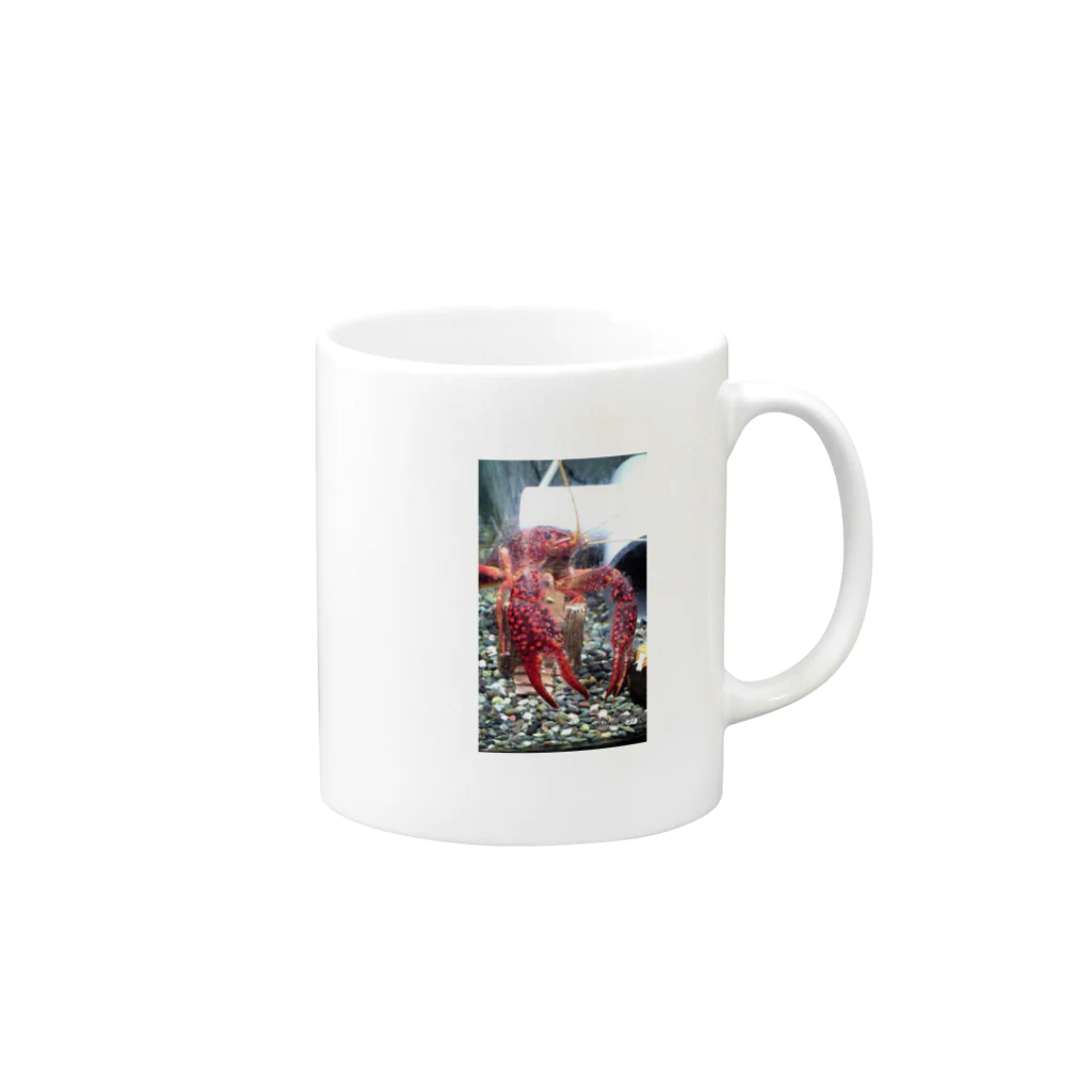 CRAYFISHのザリちゃんマグカップ Mug :right side of the handle