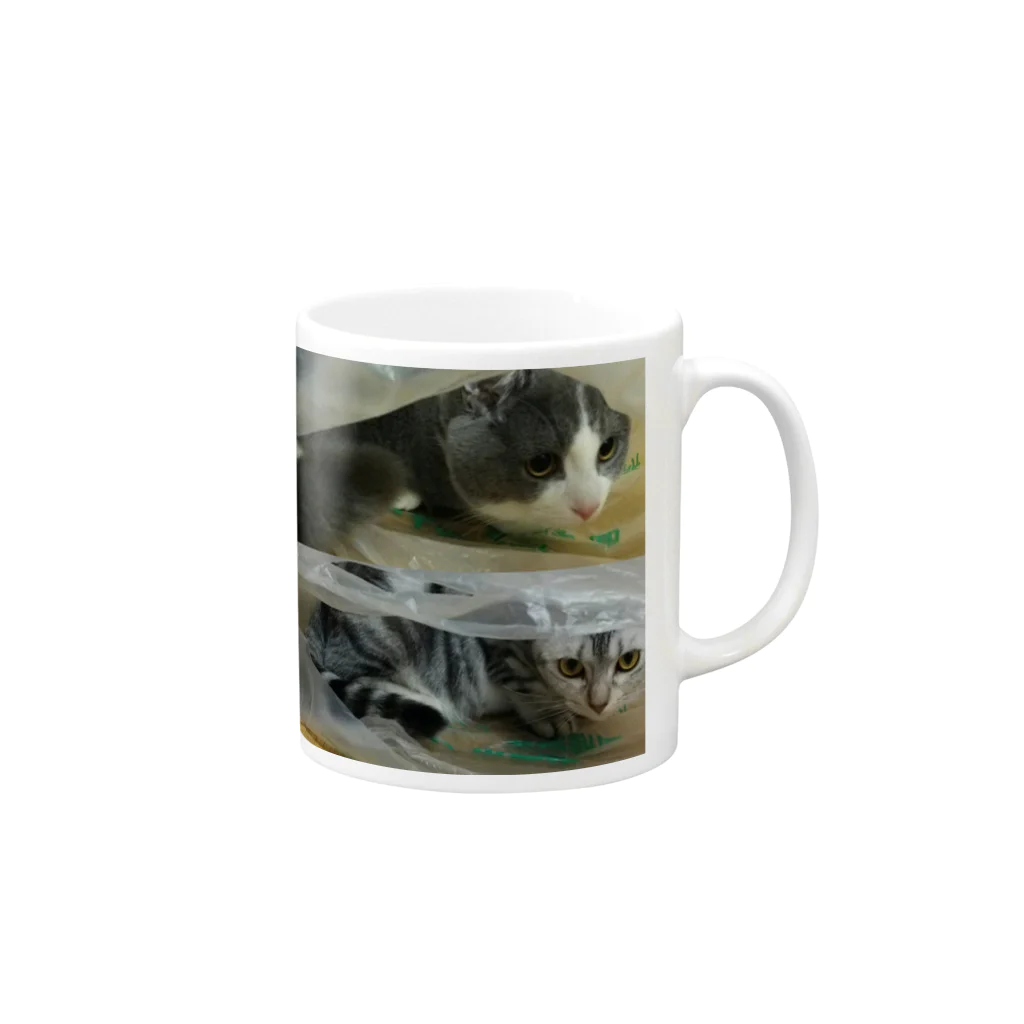 ポロ銀ファクトリー(ФωФ)withきなこの＊猫シリーズ＊HUNTERポロ×HUNTER銀 Mug :right side of the handle