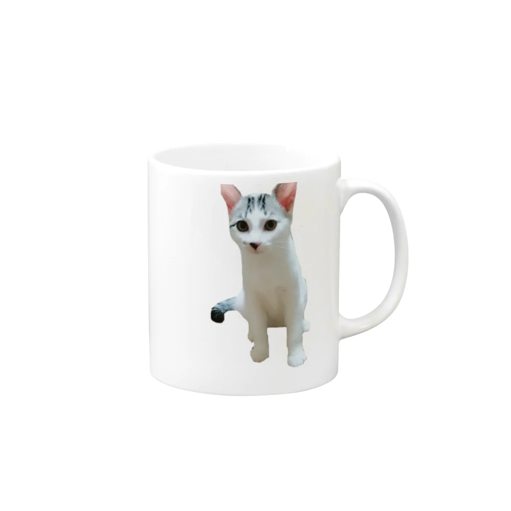 愛猫ちゃん達の毎日の★oujiii'★ Mug :right side of the handle