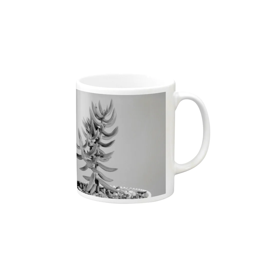 TANIKUDO by DJ.Plugmaticsの多肉植物B Black and white Mug :right side of the handle