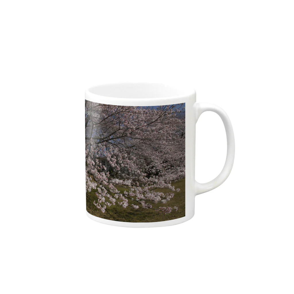 hiroki-naraの光景　sight0054　桜　2015_010　サクラ Mug :right side of the handle