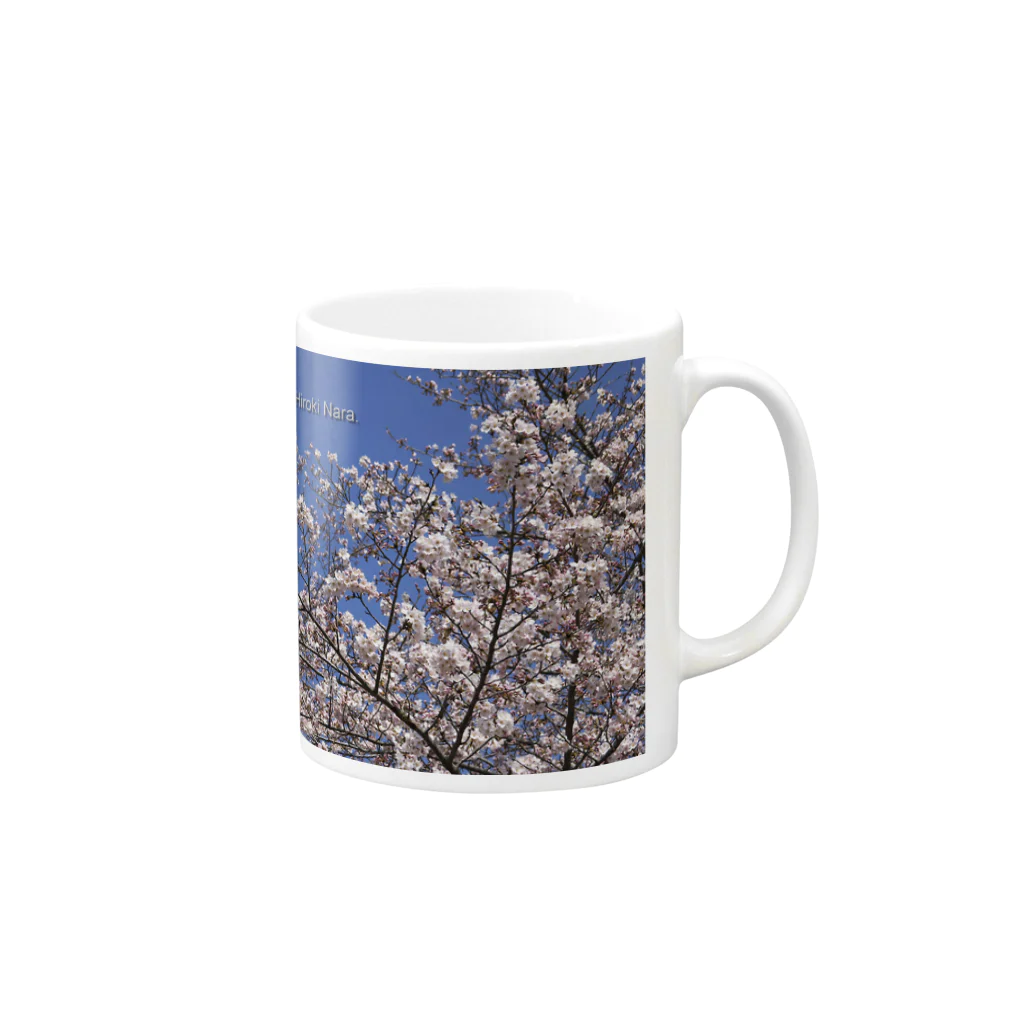 hiroki-naraの光景　sight0069　桜　2015_014　サクラ  Mug :right side of the handle