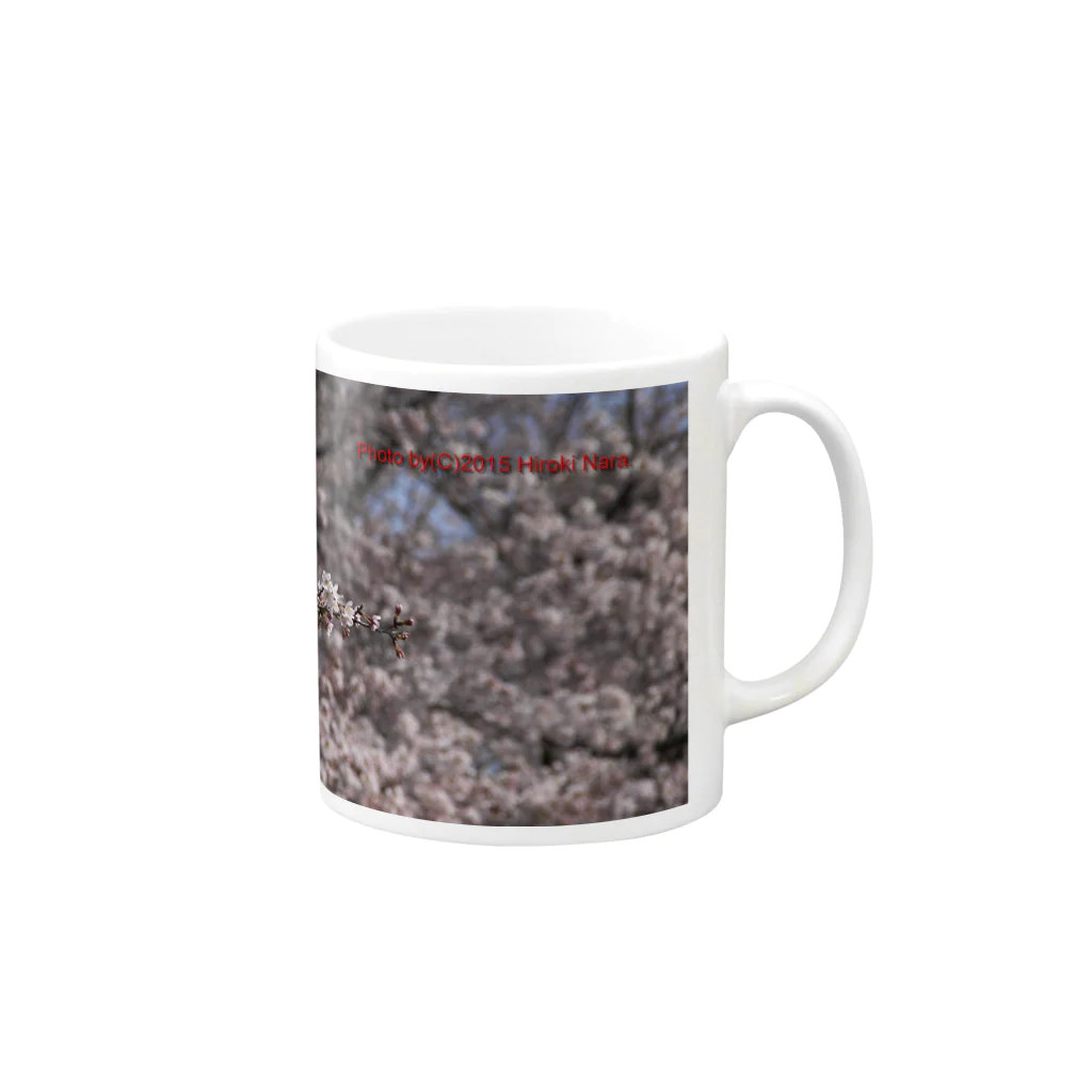 hiroki-naraの光景　sight0071　桜　2015_016　サクラ  Mug :right side of the handle