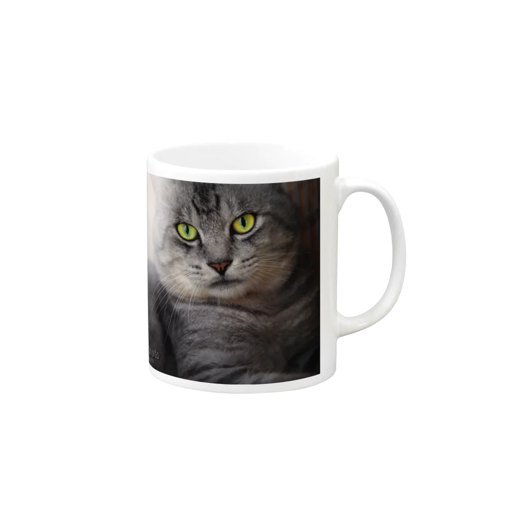 NK−Photoのイケメン猫　銀 Mug :right side of the handle