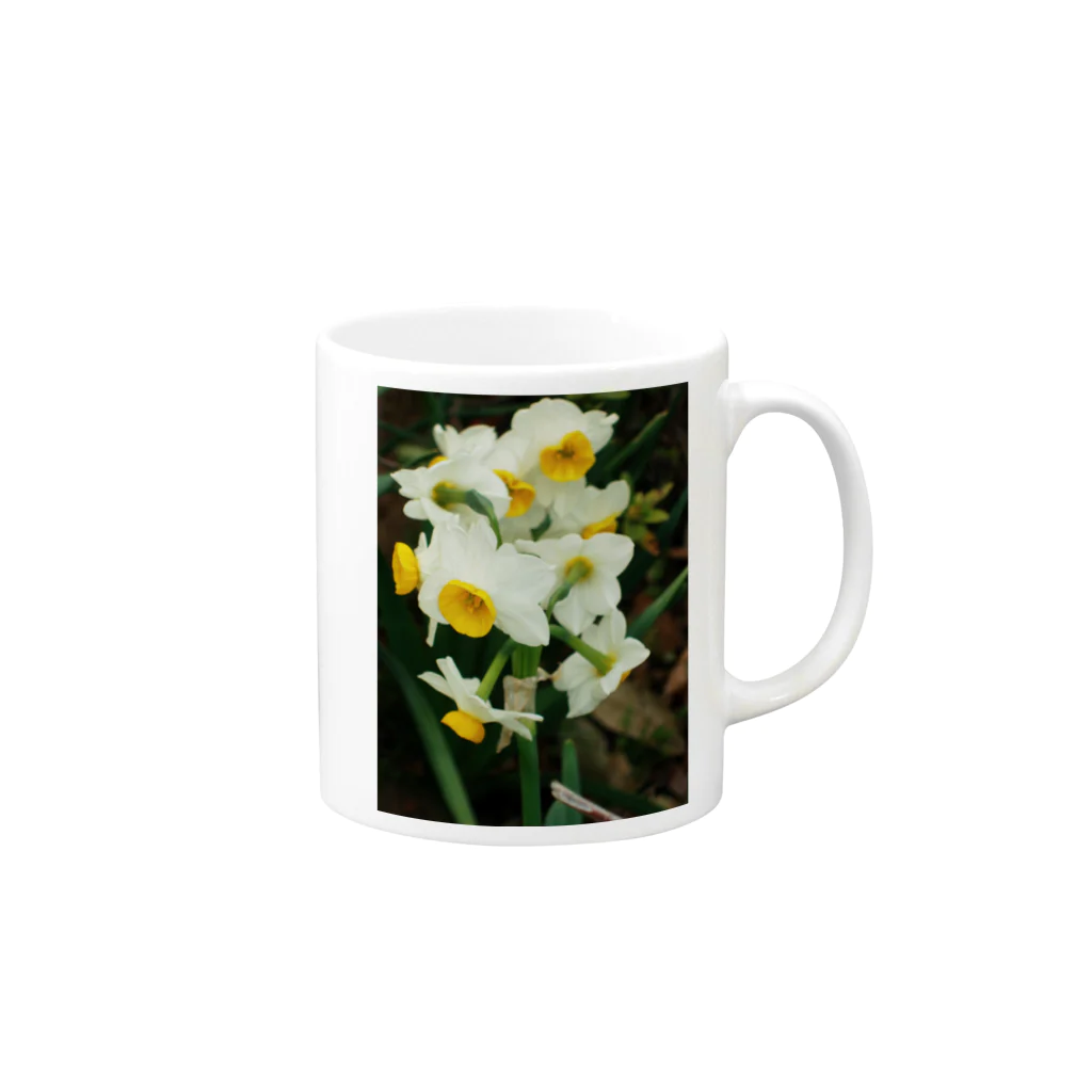 hiroki-naraの水仙　スイセン　DATA_P_100　春　spring Mug :right side of the handle