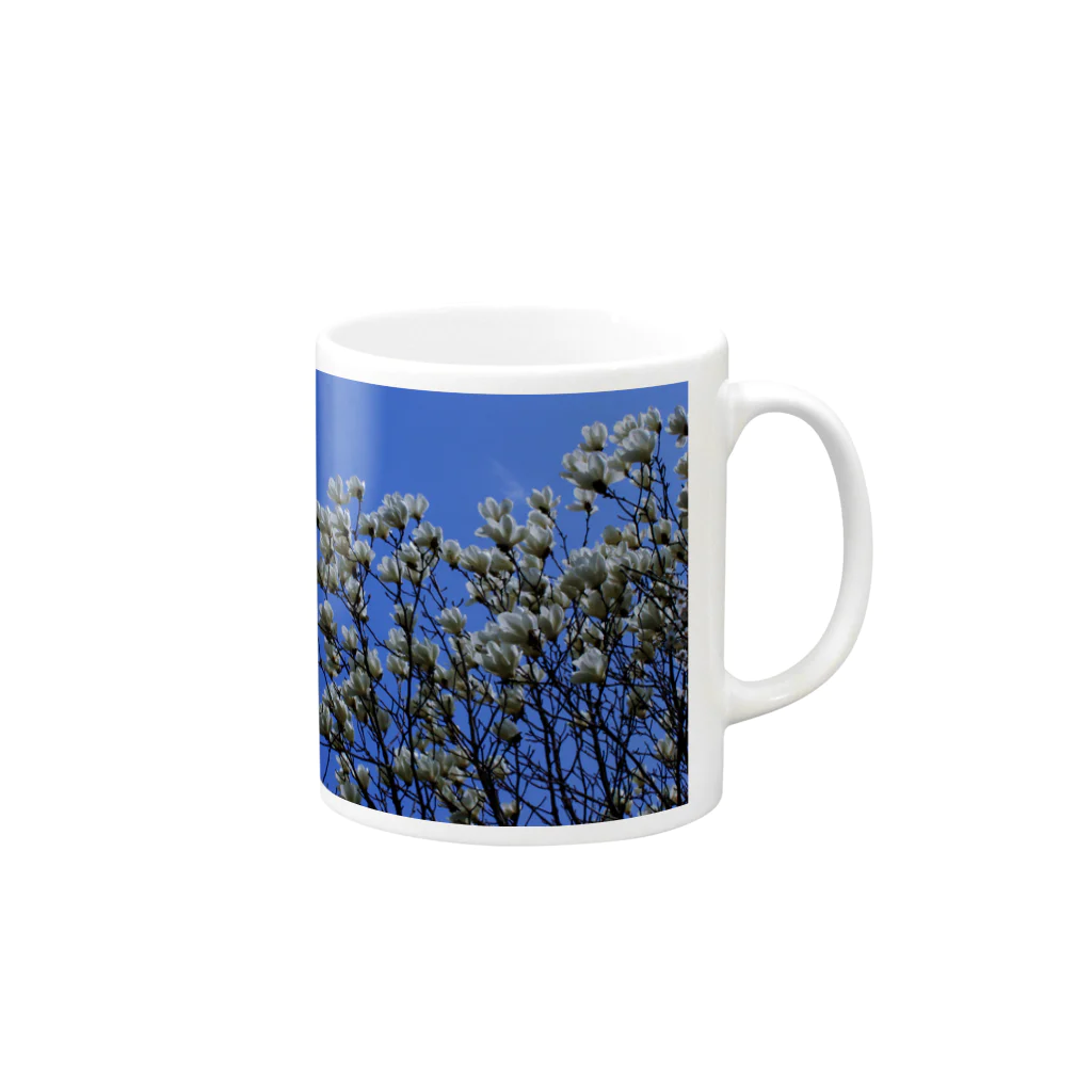 hiroki-naraの白木蓮 はくもくれん　春　spring　DATA_P_103 Mug :right side of the handle