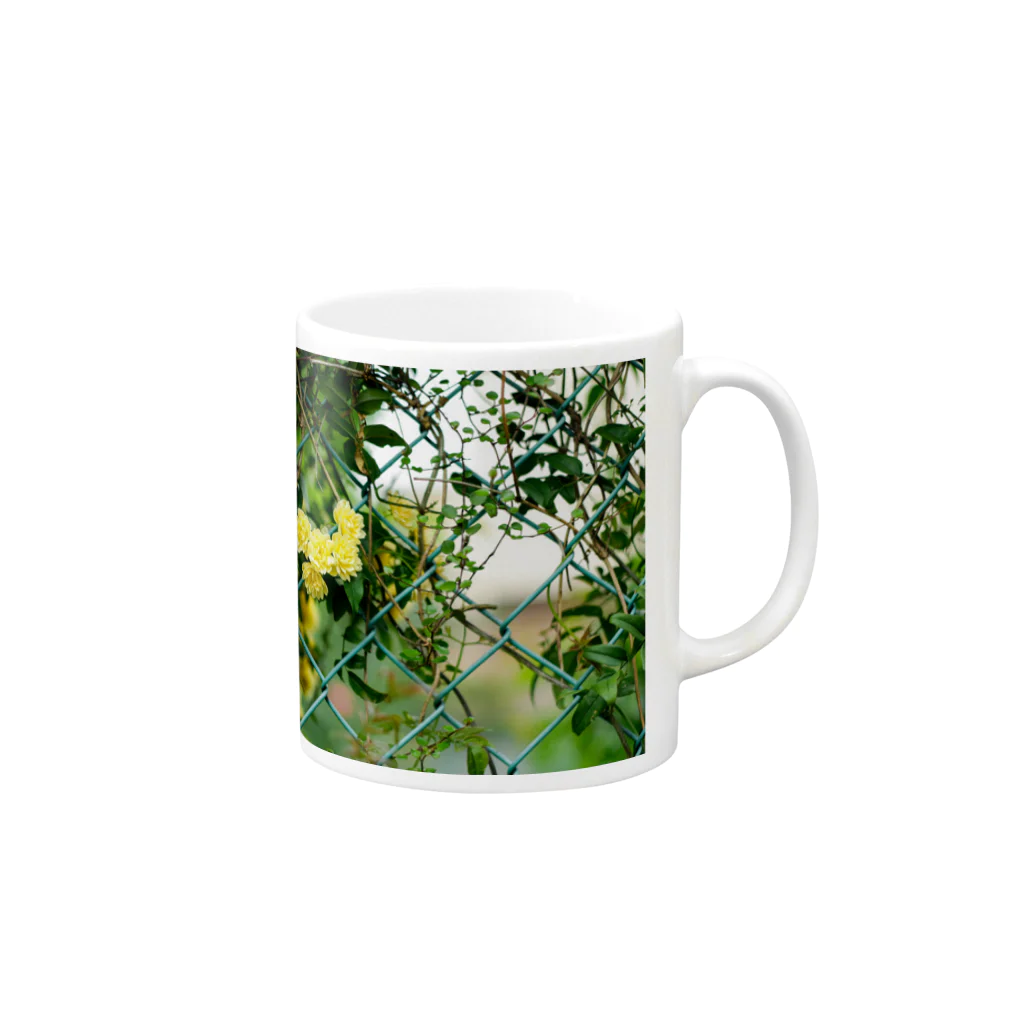 かぴばらのFLOWER-きいろ- Mug :right side of the handle