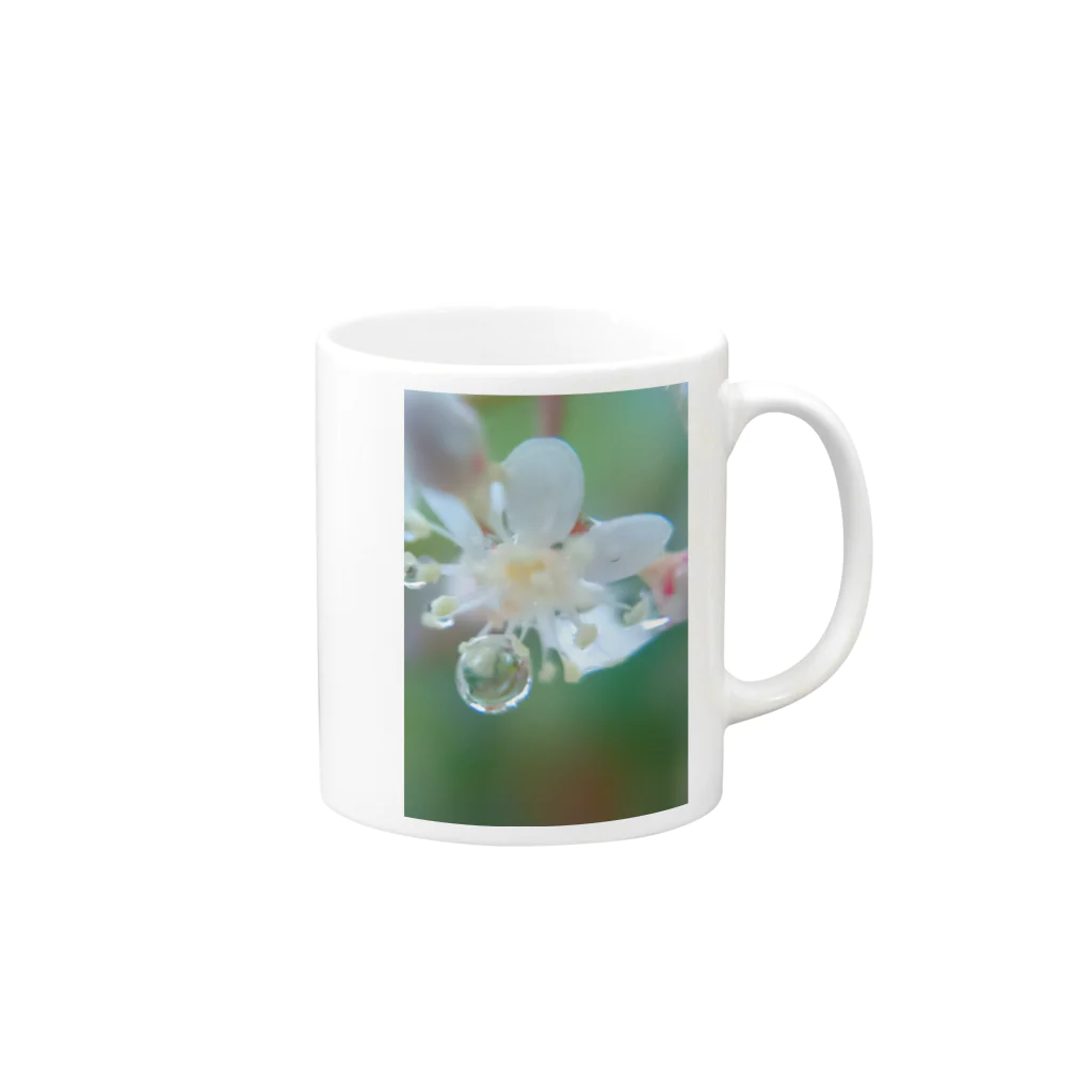 望美【写真】の花雫A Mug :right side of the handle