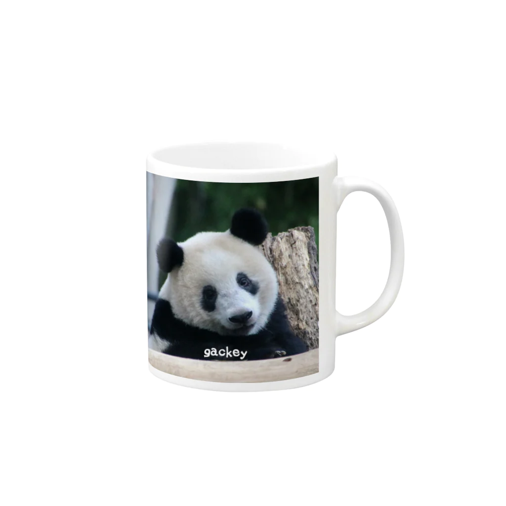 gackeyのはにかみ PANDA Mug :right side of the handle