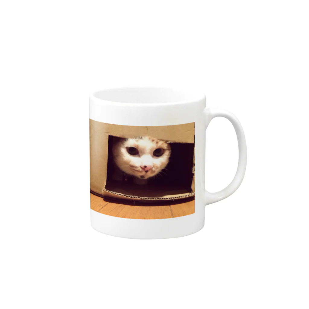 mico_mon_anのThe calico cat  Mug :right side of the handle