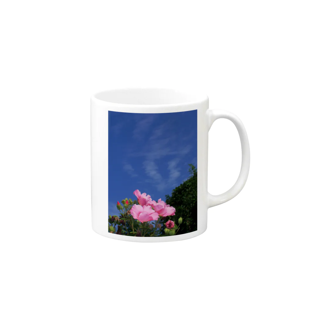 hiroki-naraの芙蓉 DATA_P_133　Confederate Rose ハスの花の古名 Mug :right side of the handle