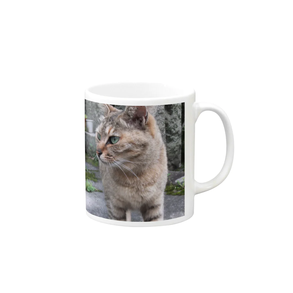 しやんのねこの視線の先 Mug :right side of the handle