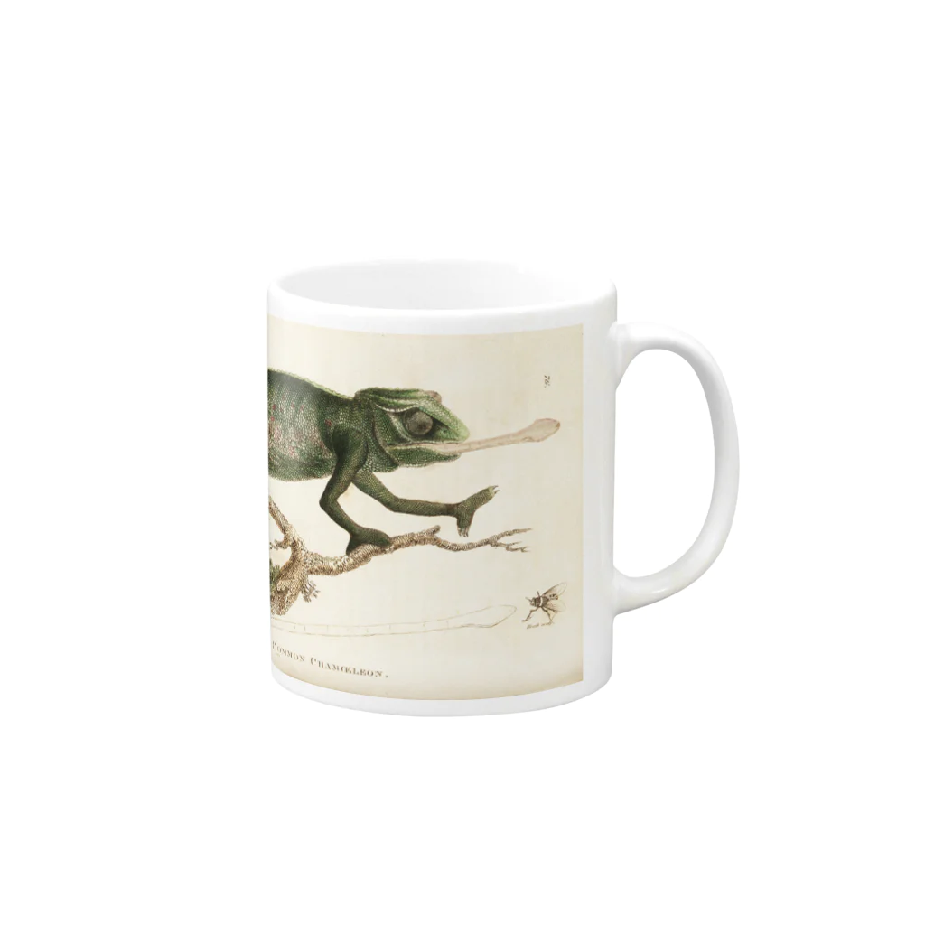 J. Jeffery Print Galleryのカメレオン Mug :right side of the handle