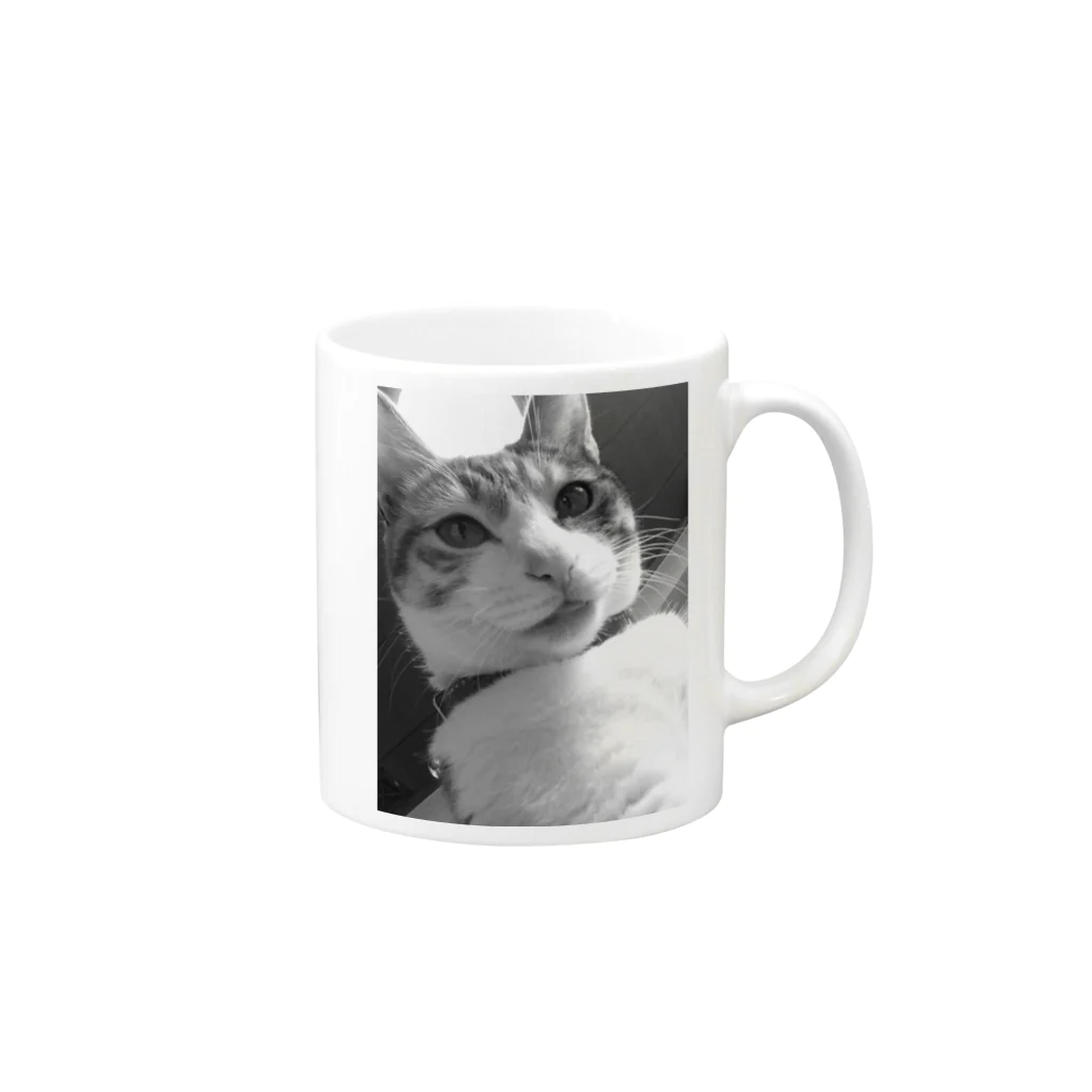 ほぼひめ。の三毛猫のひめ　4 Mug :right side of the handle