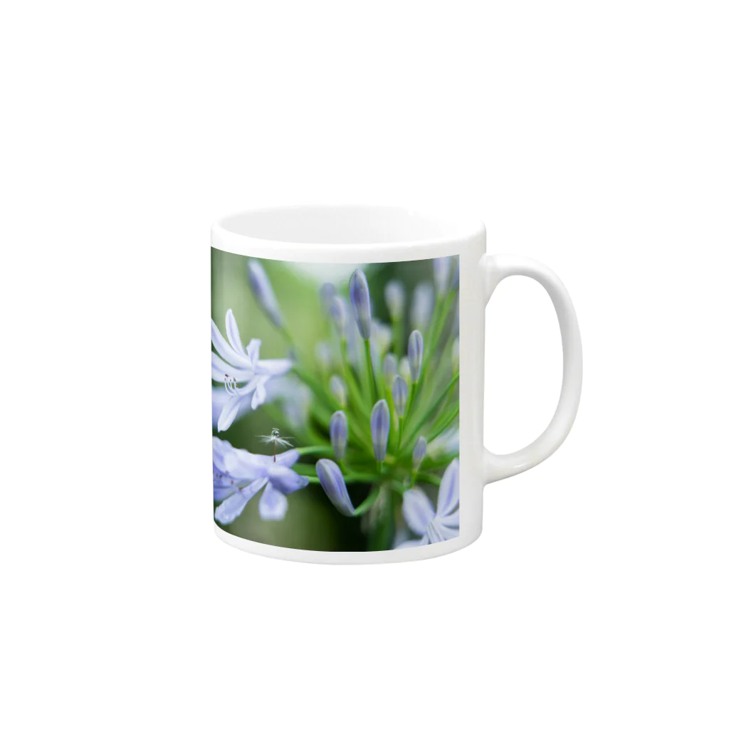 PhotoAtelier AileのAngel of Agapanthus 170702 Mug :right side of the handle