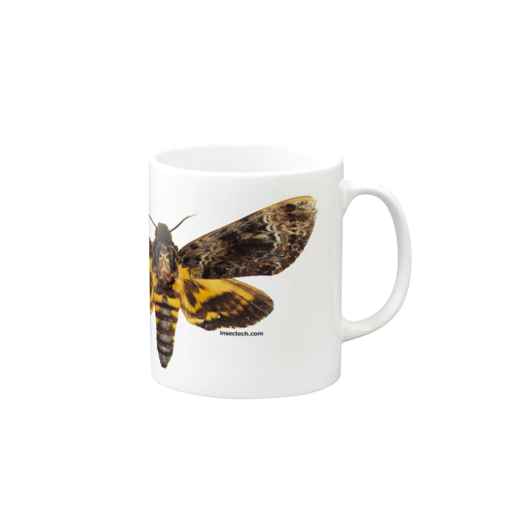 insectech.comのクロメンガタスズメ Mug :right side of the handle