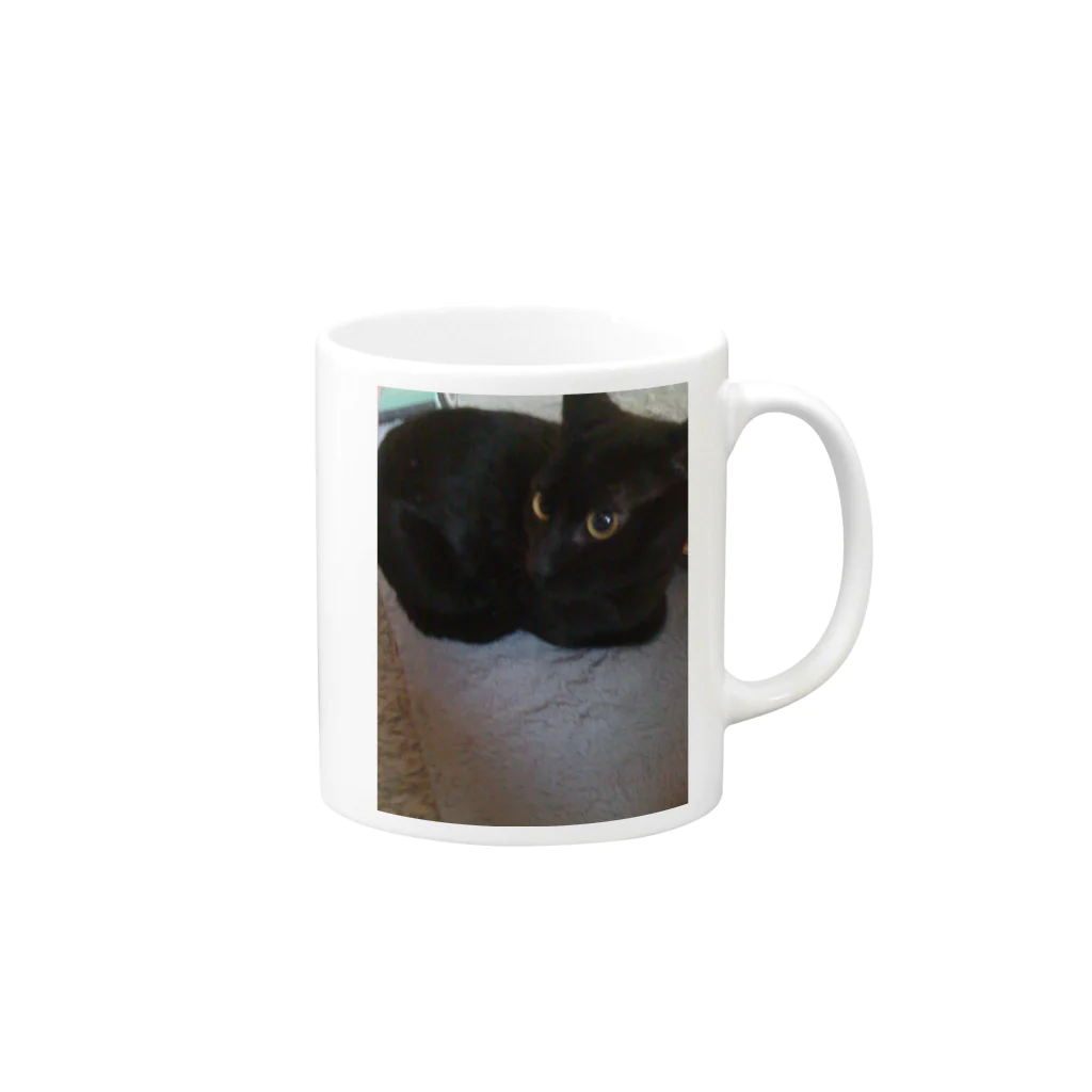 AtelierLovenestの新参猫 Mug :right side of the handle