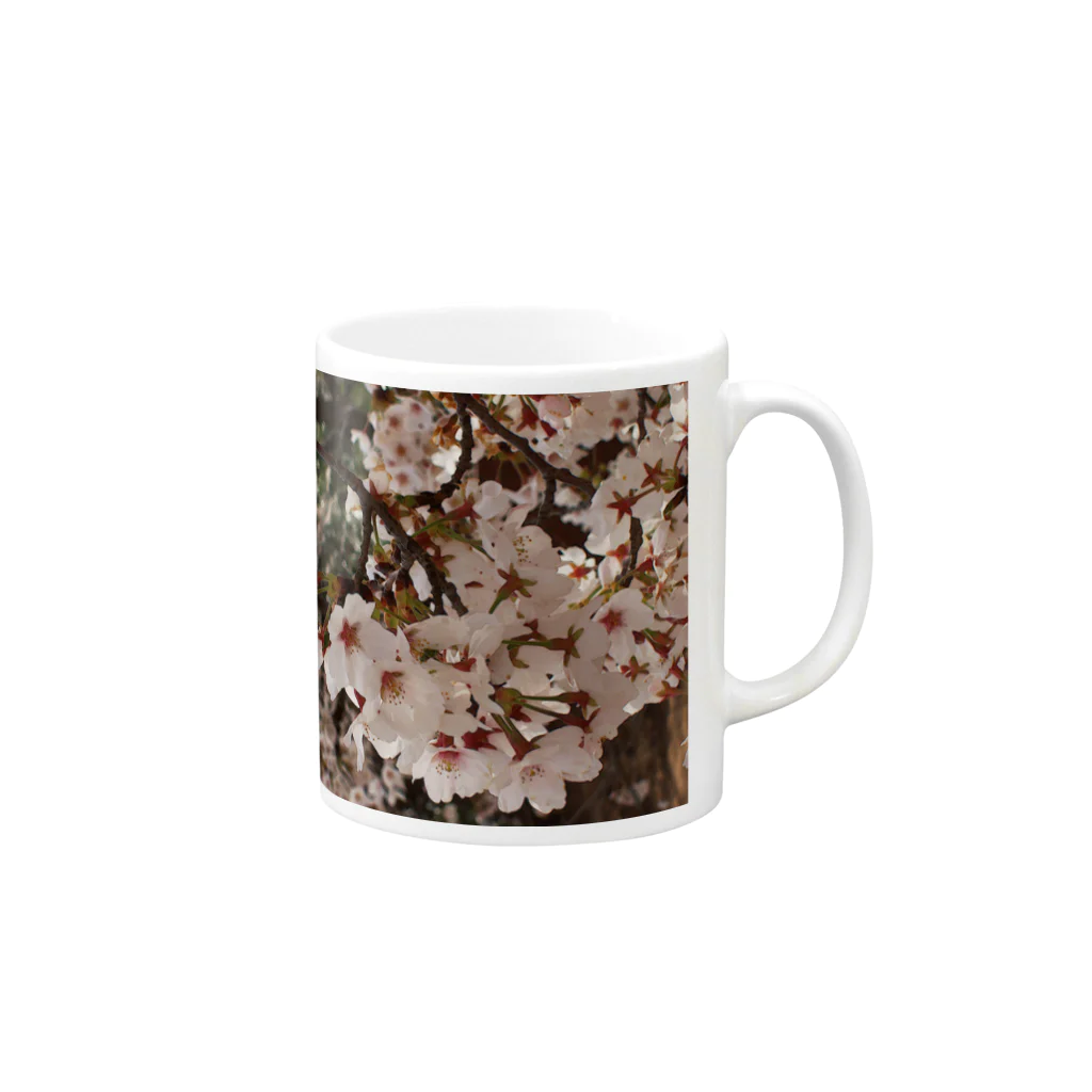 hiroki-naraの桜　サクラ　cherry blossom DATA_P_152　春　spring マグカップの取っ手の右面