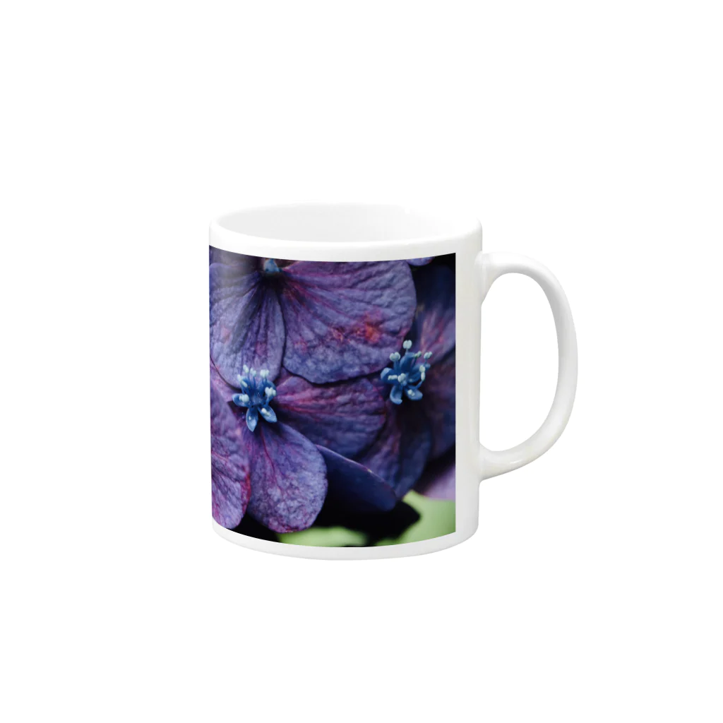 8l0の紫陽花　紫 Mug :right side of the handle