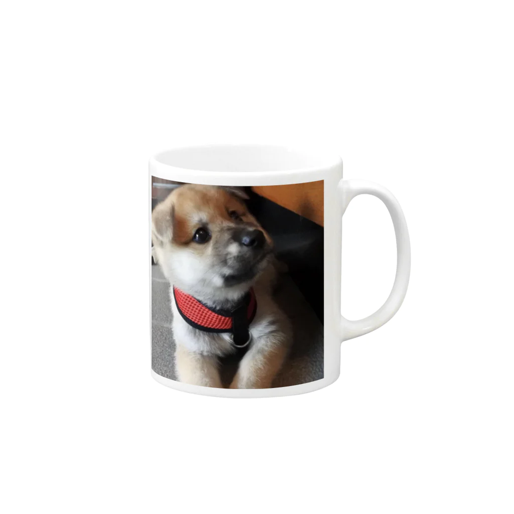 保護犬まるちゃんの上目遣いまるちゃん Mug :right side of the handle