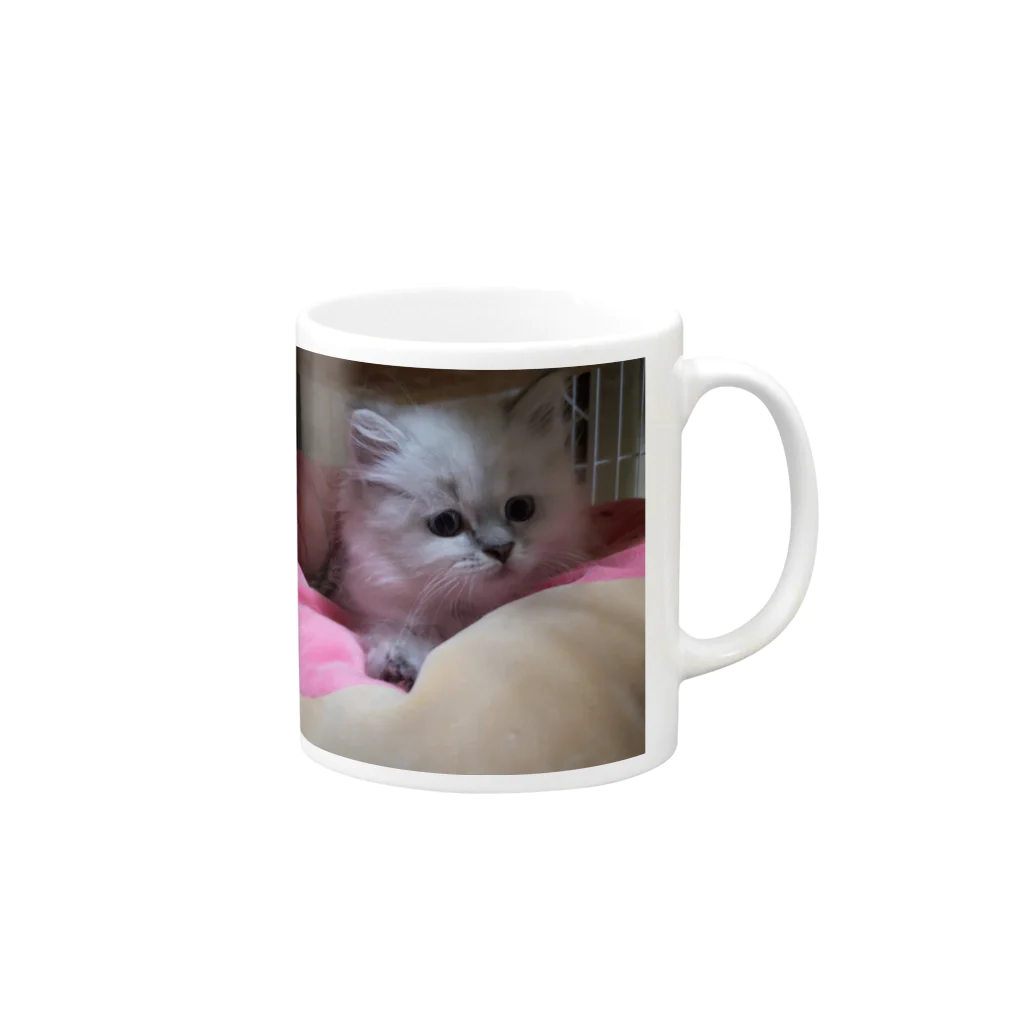 Elfi, Cherie, Felicia, Asher, Bae&Ameliaのサイベリアンの子猫(ブルーポイント) Mug :right side of the handle