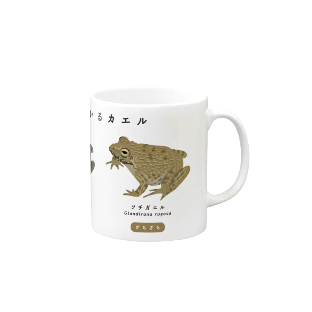 さちこの生物雑貨のツチとヌマ Mug :right side of the handle