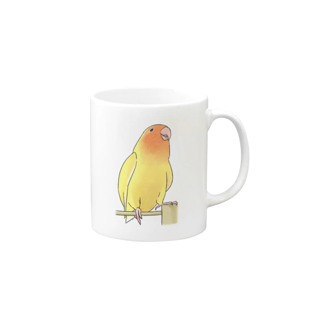 まめるりはことりの得意げ可愛い　コザクラインコちゃん【まめるりはことり】 Mug :right side of the handle