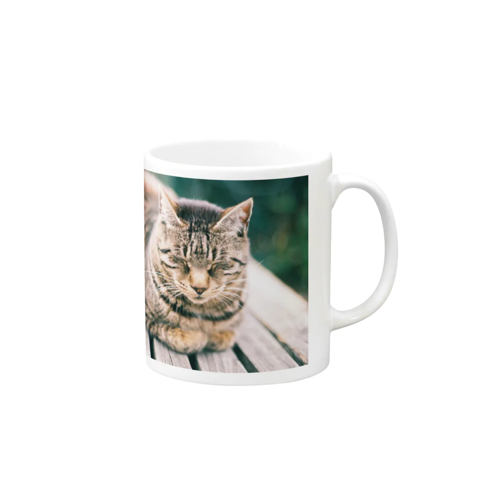 写真と、の2月の尾道の猫 Mug :right side of the handle