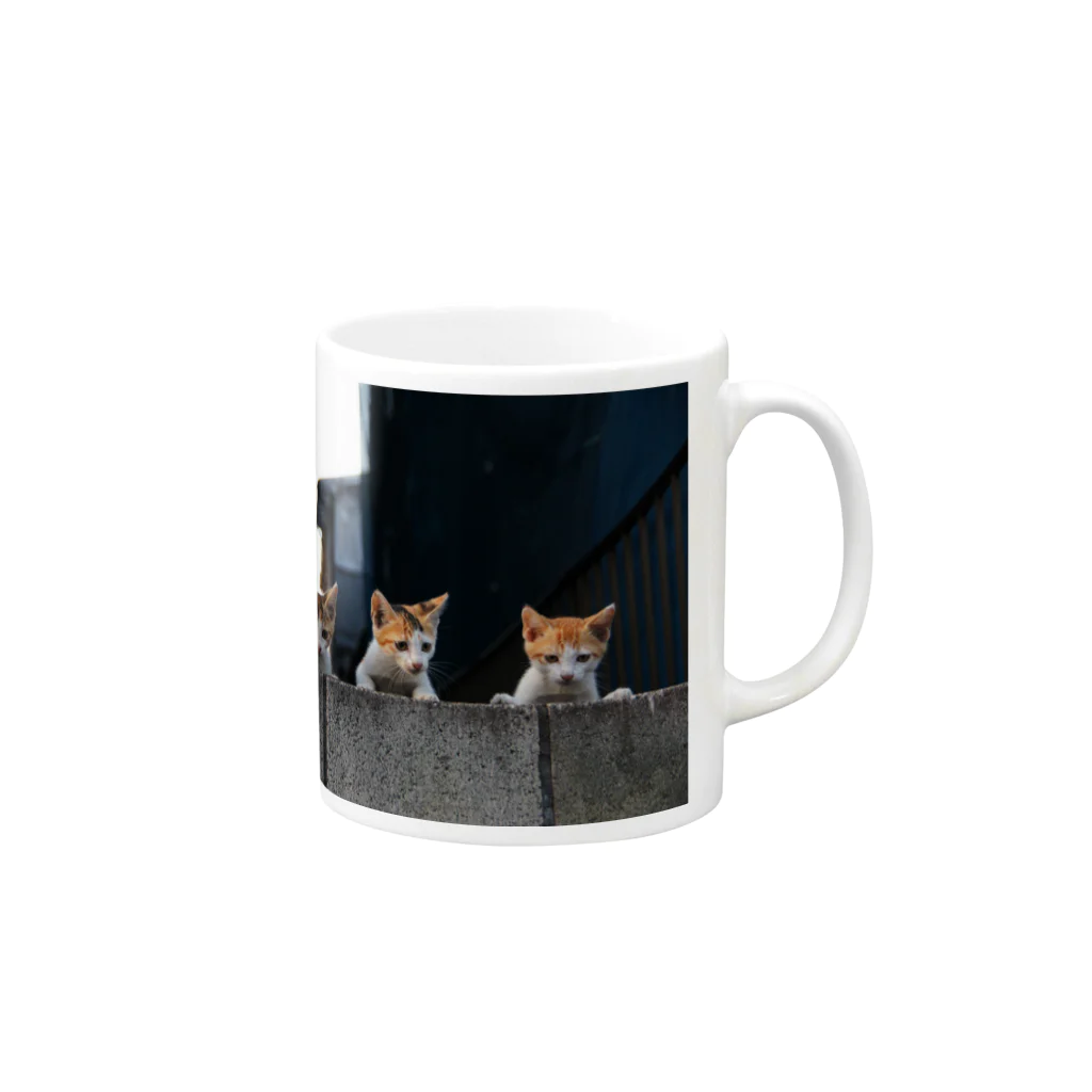 シッポ追いの猫写真店のkitten gang Mug :right side of the handle