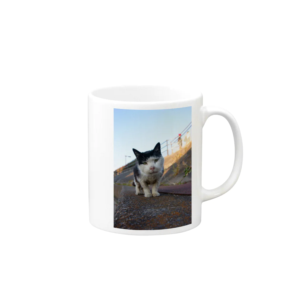 シッポ追いの猫写真店の汚しちゃった！ Mug :right side of the handle