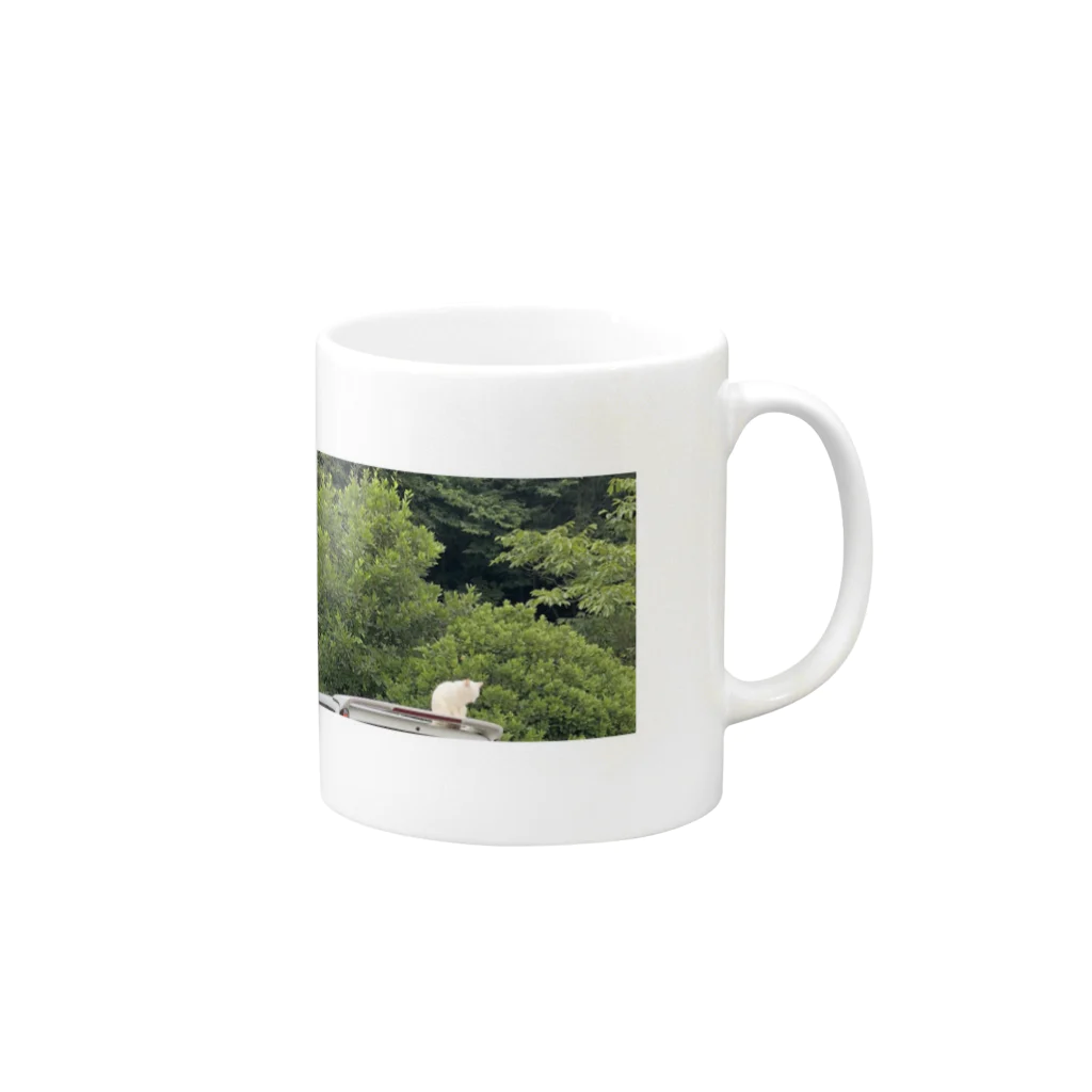 mのみんな平和にいこうよ ネコの休日 Mug :right side of the handle