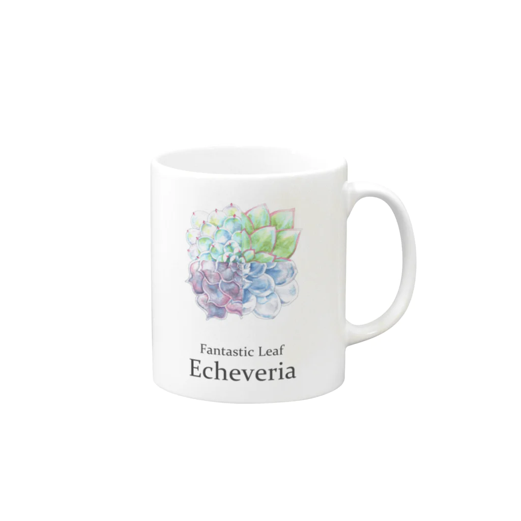 DOTEKKOのT-29 Fantastic Leaf Echeveria Mug :right side of the handle