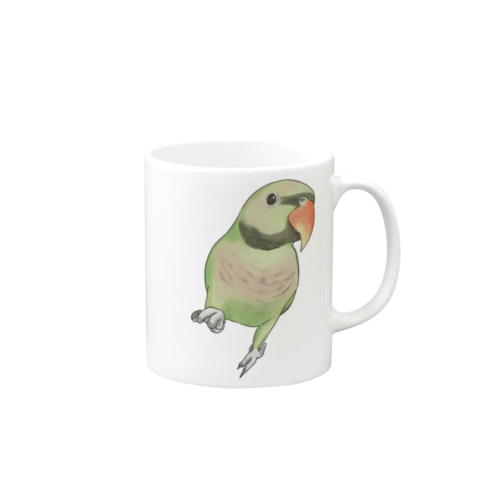 まめるりはことりのご機嫌なダルマインコちゃん【まめるりはことり】 Mug :right side of the handle