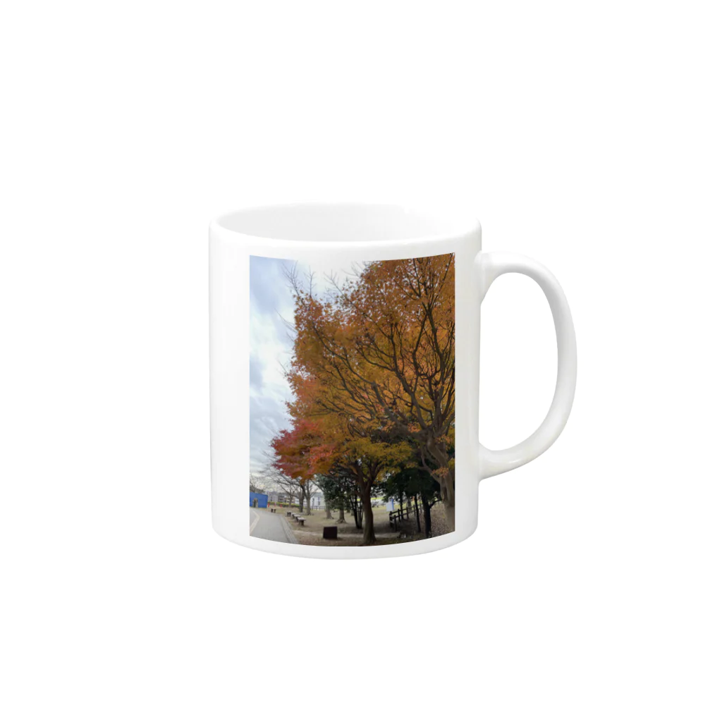 hi_kunの秋っぽさが残る12月part1 Mug :right side of the handle