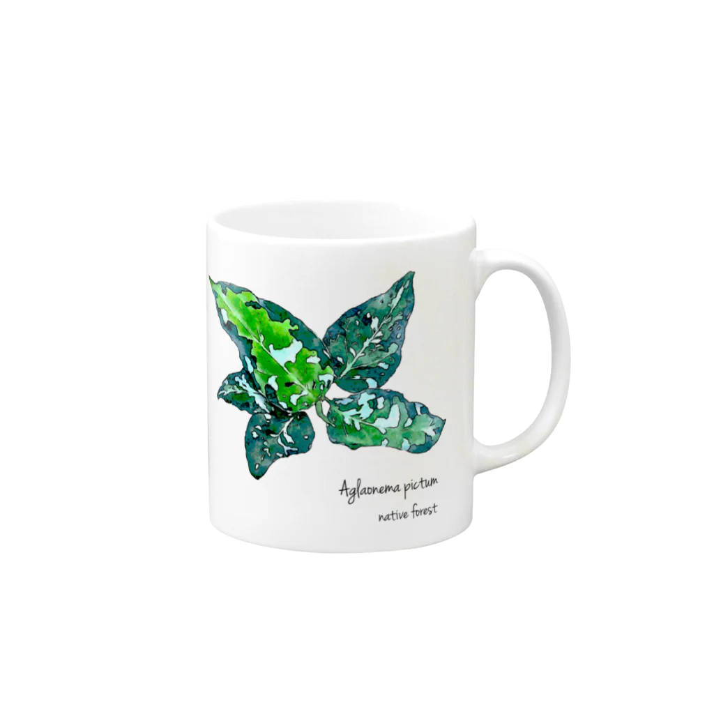 native forest 植物グッズのお店のアグラオネマ・ピクタム（Aglaonema pictum） Mug :right side of the handle